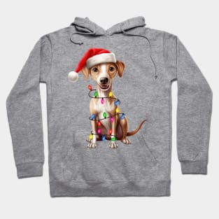 Christmas Italian Greyhound Hoodie